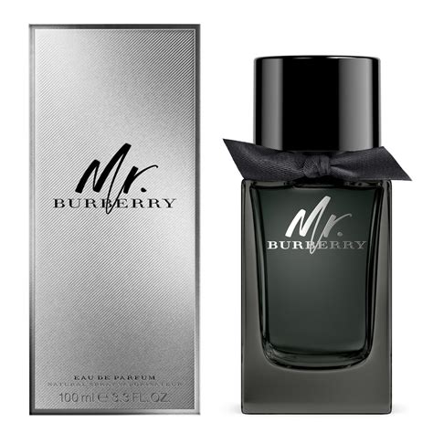 mr burberry 100mlprice|mr burberry eau de parfum.